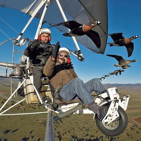 Fly whith bird Christian Moullec