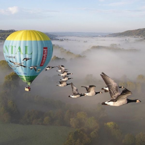 Fly hot air ballon bird Auvergne
