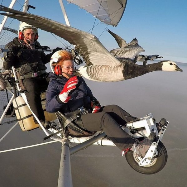 Fly with bird Auvergne