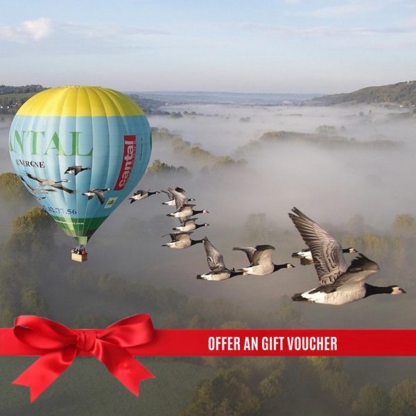 gift ho air balloon fly with bird