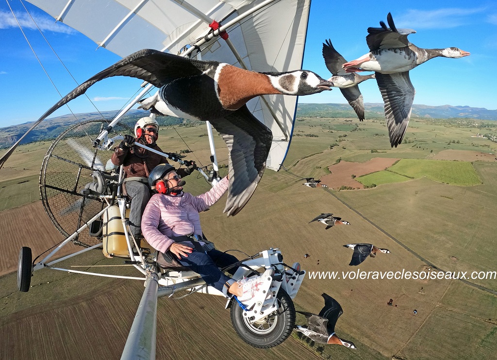 Man who flies with birds on bord a microlight