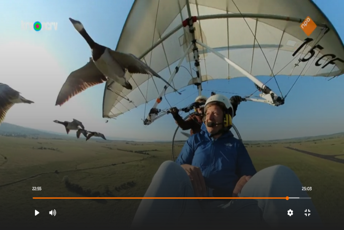 Klaas Kan Alles fly with birds