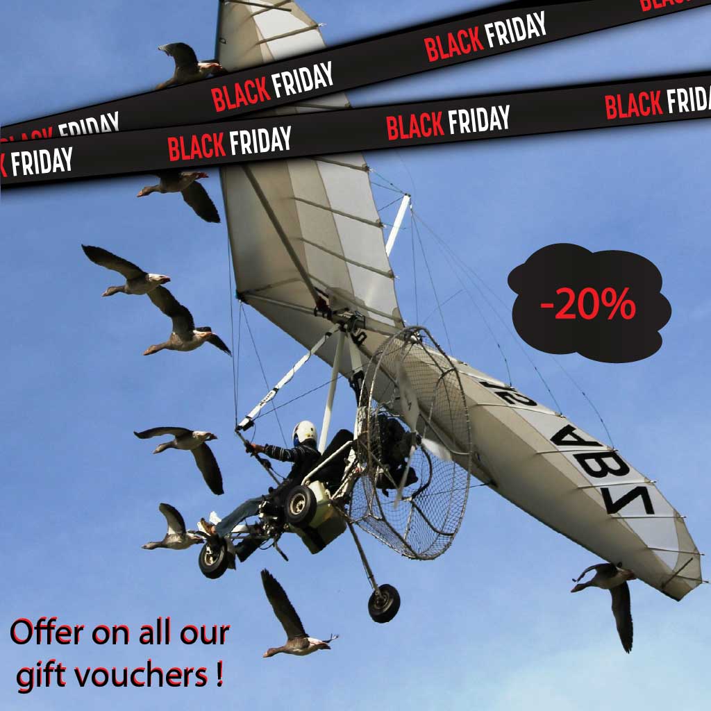 -20% Black Friday